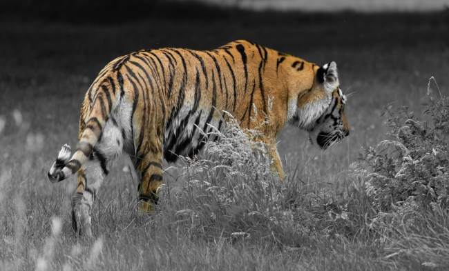 2024年遇正缘的女命 2024年谁有希望脱单完婚 2024年遇正缘的女命 2024年谁有希望脱单完婚