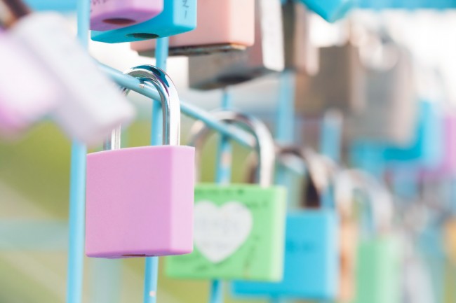 第一运势 2023年11月19日十二生肖运势分析