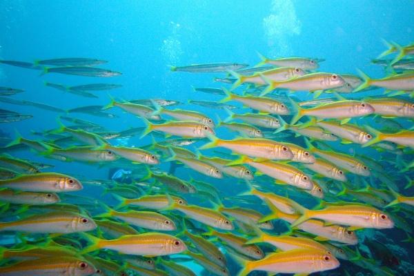 2024年发大财的生肖 2024年财运好到爆的生肖 2024年发大财的生肖 2024年财运好到爆的生肖