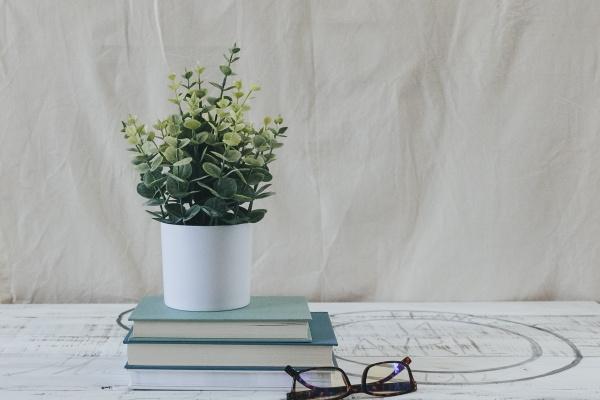 2024年下半年最倒霉的生肖,什么属相最不顺 2024年下半年最倒霉的生肖,什么属相最不顺