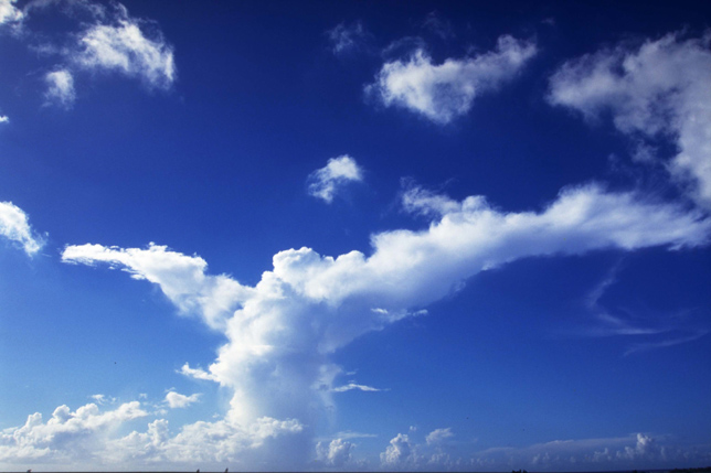 1969年属鸡的吉祥数字 击败挫败汲取经验 1969年属鸡的吉祥数字 击败挫败汲取经验