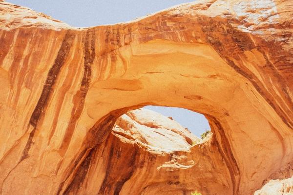 第一运势 2023年12月23日十二生肖运势分析