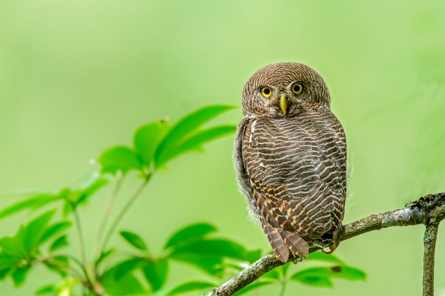76年属龙48岁女吉祥物是什么，788年属龙女戴什么最好
