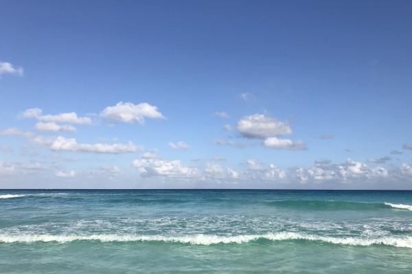 2024年属兔财气与感情 属相兔无法积淀钱财