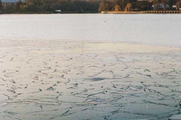 杨清华 十二生肖一周运势12.18-12.24