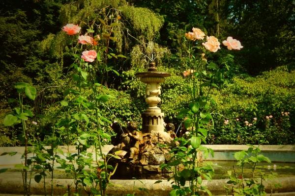 2024后发大财的生肖 在龙年招财的生肖有谁