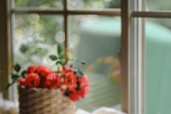 2024年什么生肖最旺盛 龙年兴旺的生肖有哪些人