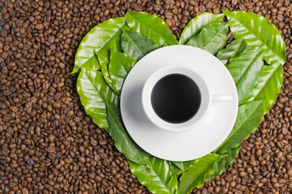 属蛇总和属马的配不配 在一起如何？