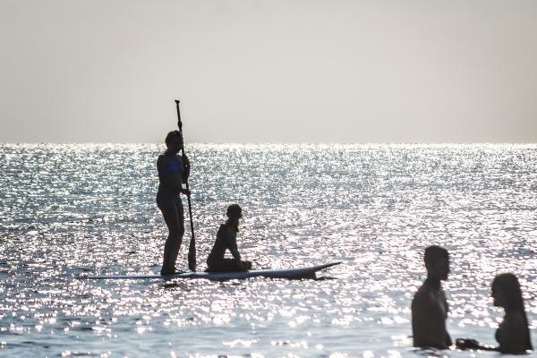 金蛇之令是上等命吗,属蛇人金命一生命运怎样 金蛇之令是上等命吗,属蛇人金命一生命运怎样