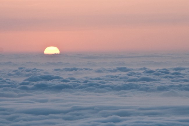 属马和属猴能通过到一辈子吗 马猴的性格特点