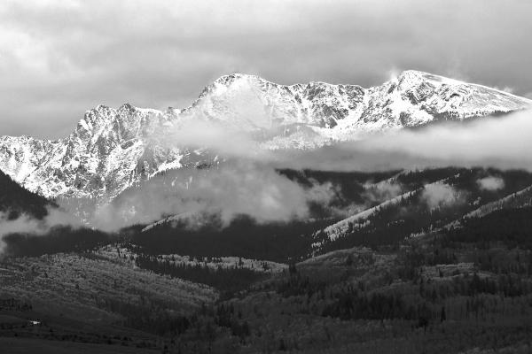 2024十二生肖野心大一点的生肖 野心十足的生肖有谁