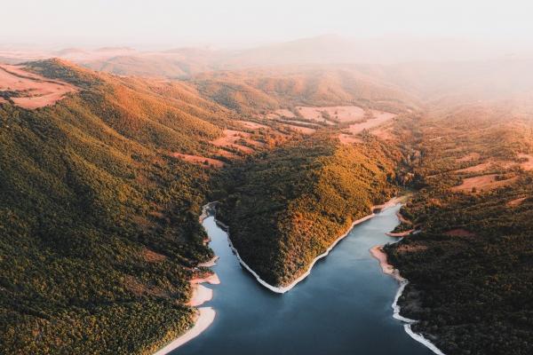 第一运程 2024年十二生肖周运1.15-1.21