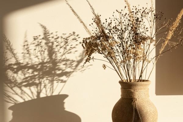 属鼠出生最好是六个吉日，属鼠人比较好的出生日是哪几天