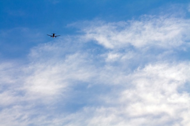 2024年是寡妇年吗 寡妇年能够结婚吗