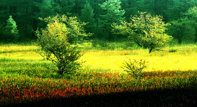 2024横财入命的四大生肖 四个生肖横财连射