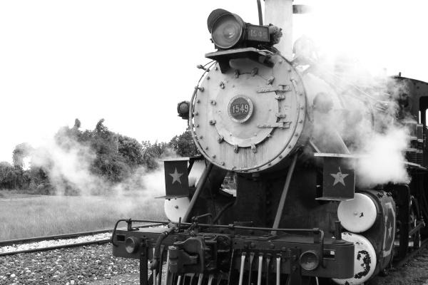 天生好运有福之人是4大生肖女，2024年运程不会差！