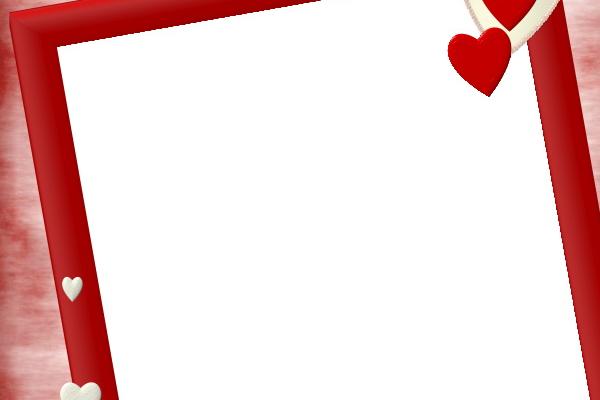 属兔2024年最好出行方位，属兔人2024年大利方位在哪里