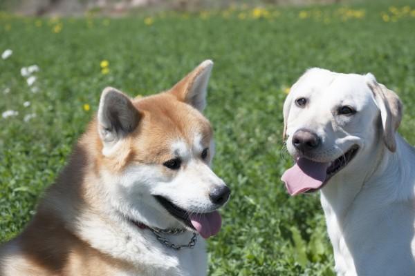 属鸡2023年三大喜事 是哪三大喜事产生