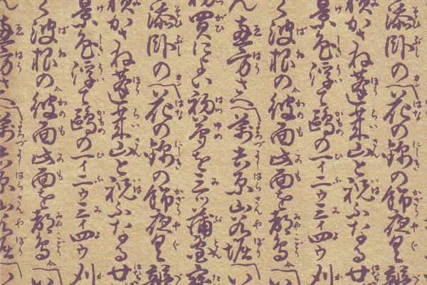 属相虎的2024运程 属虎龙年运势怎么样