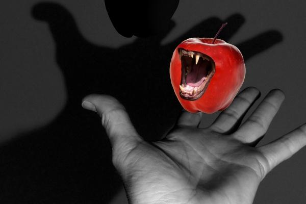 属兔一辈子婚姻情况 属兔人看待婚姻的心态