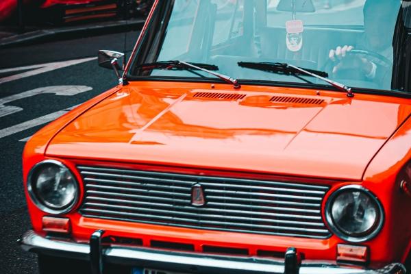 2024年属猪男全年度运势 身心健康优良感情起伏