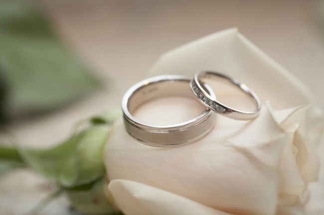 十二生肖2024年全年度运势详细说明 2024各生肖运势