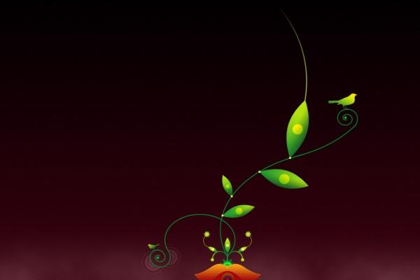 2024龙年犯太岁的四个属相 会经历很多挫折 2024龙年犯太岁的四个属相 会经历很多挫折