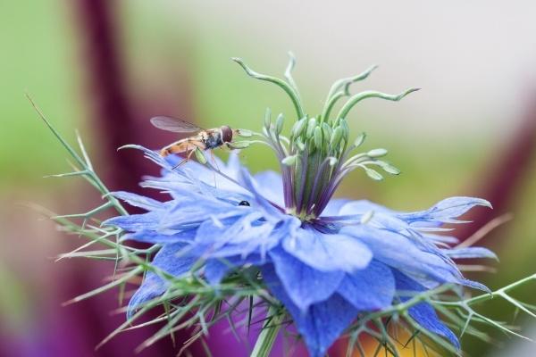 2024属牛运势及运程每月运程 掌握牛人月份运势