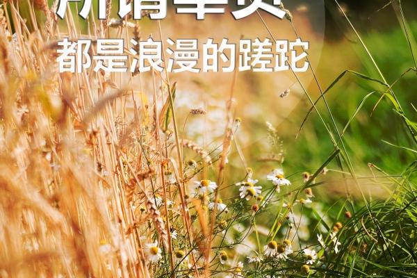 属鼠2024年烂桃花遇真爱,属鼠的真爱到底是谁 属鼠2024年烂桃花遇真爱,属鼠的真爱到底是谁