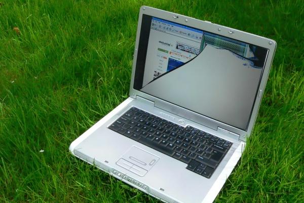 2024属羊运气怎么样 聊一聊属羊人的运势 2024属羊运气怎么样 聊一聊属羊人的运势