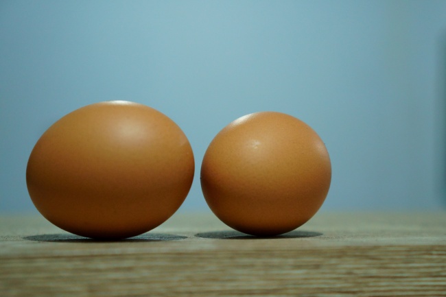 2024年属相龙运势运程 感情稳定财运持续增长