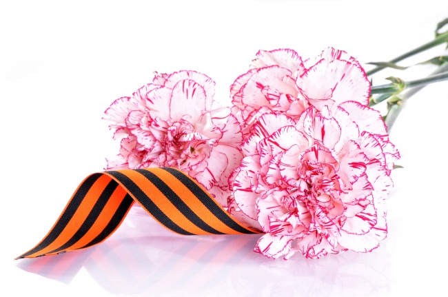 属羊在2024年运势如何 工作会贵人扶持