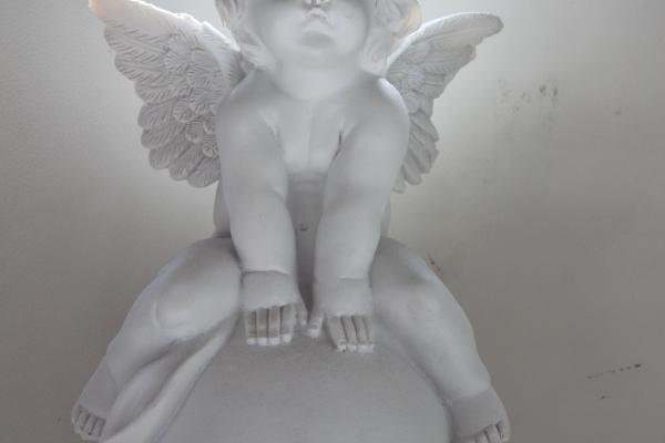 属鼠与老虎婚姻能配吗 鼠虎的婚姻提议 属鼠与老虎婚姻能配吗 鼠虎的婚姻提议