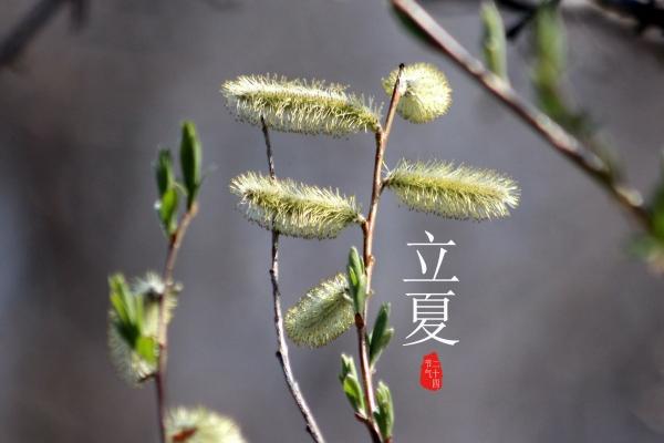 梦见驱逐老鼠是什么预兆