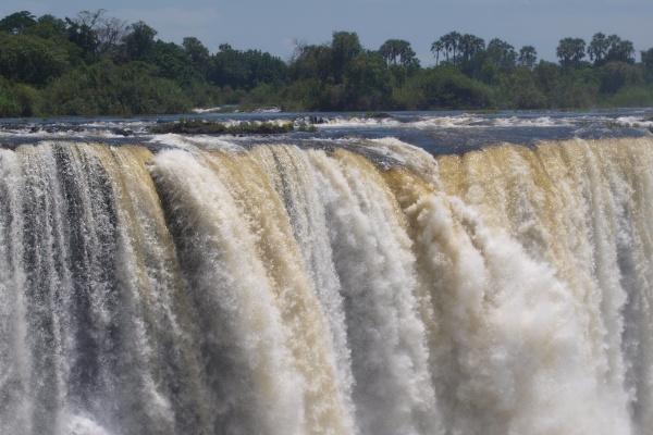 哪些属相跟属鸡的不合 属鸡人不合的属相