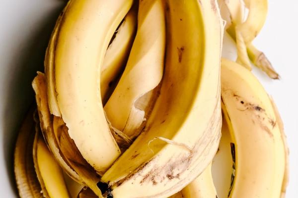 属牛人2024年全年度运势运程 感情平稳身体更健康