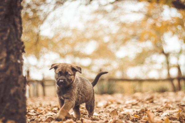 2024年犯太岁能够出门吗 防止远行