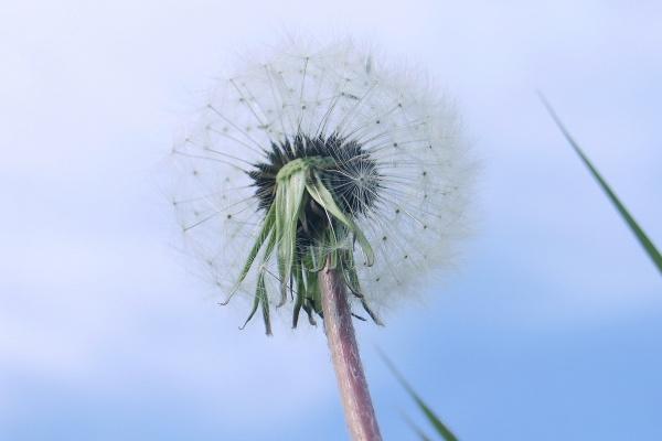 2024年属龙宝宝命运剖析 2024年属龙宝宝是木龙之令 2024年属龙宝宝命运剖析 2024年属龙宝宝是木龙之令