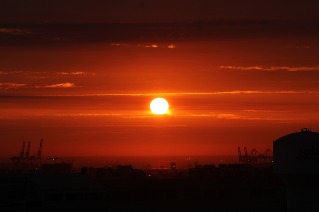 2024年走大运的生肖有哪些 2024年大运来临的生肖 2024年走大运的生肖有哪些 2024年大运来临的生肖