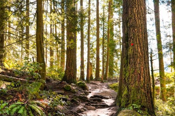 1976年属什么龙 属龙人性情怎么样