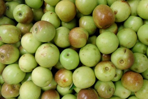 2024年属犯太岁生肖 是你吗