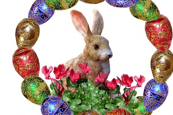 第一运程 2024年2月15日十二生肖运势解析