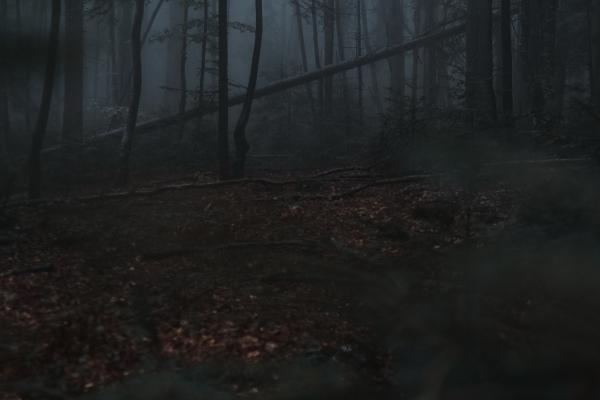 2024年犯太岁什么地方不能进 不适合涉足之地有什么