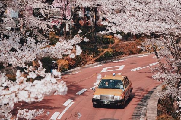 2024年小龙女出生在哪个月好 2024年属龙女忌几月出生 2024年小龙女出生在哪个月好 2024年属龙女忌几月出生