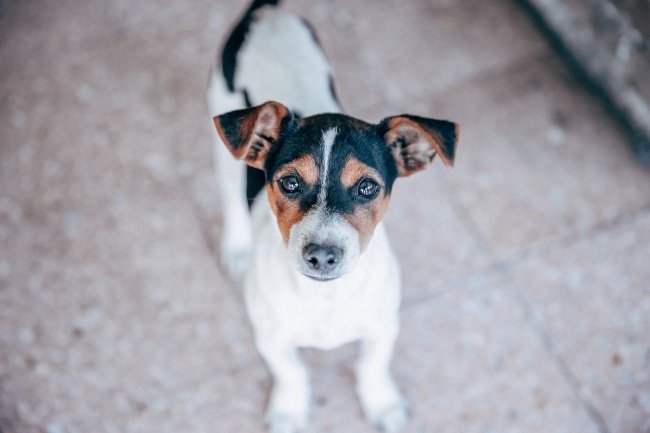 12生肖2024年正月十三打牌打麻将最佳财神方位 12生肖2024年正月十三打牌打麻将最佳财神方位