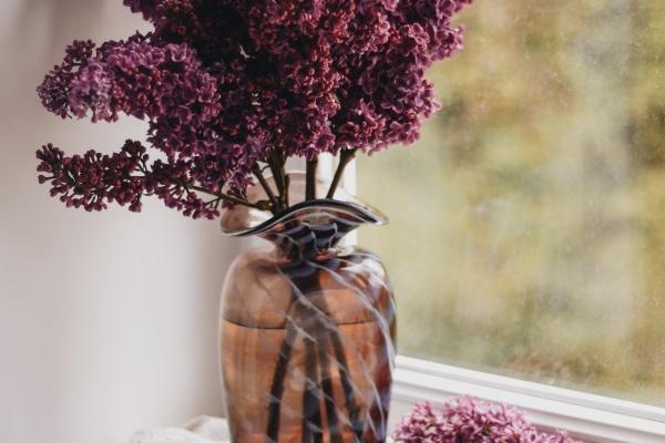 2024年属羊运势1979 总体运势比较一般 2024年属羊运势1979 总体运势比较一般