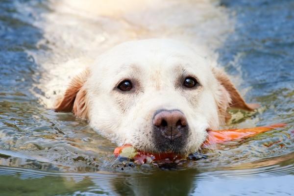 冲太岁佩戴比较好的装饰品 红绳手链玉饰五帝钱