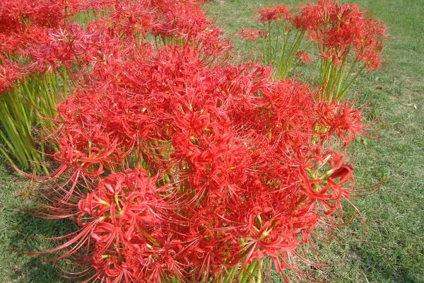 属猴女2024年运势及运程 看一下属猴女运势运程 属猴女2024年运势及运程 看一下属猴女运势运程