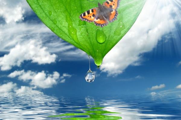 2024年大年初三十二生肖运势 运气最佳生肖是什么 2024年大年初三十二生肖运势 运气最佳生肖是什么