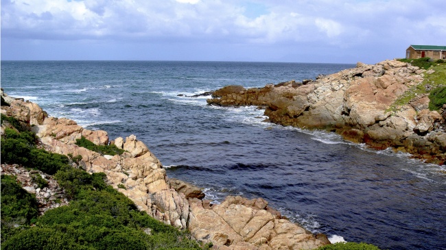 2024年龙运势怎样 工作会有大量机会